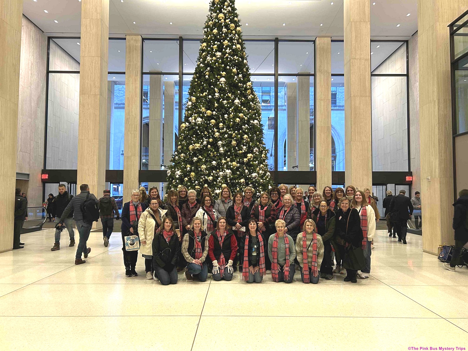 Travel Fun with The Pink Bus Mystery Trips