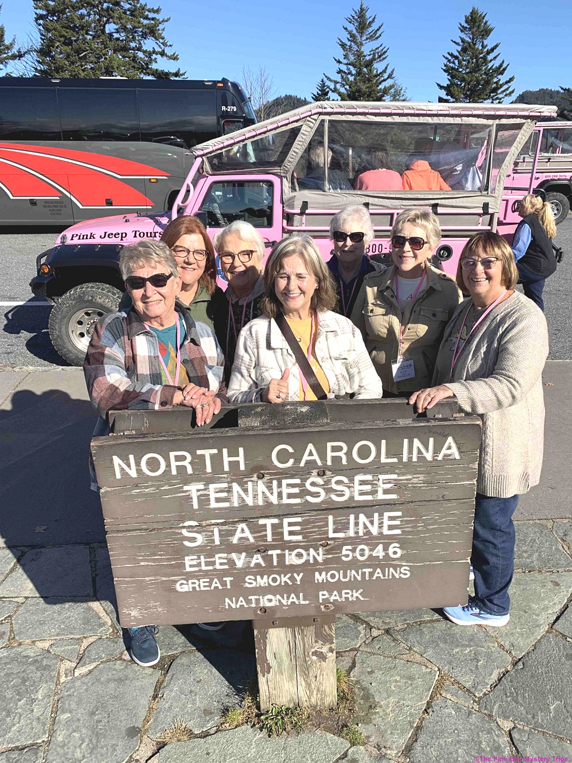 Travel Fun with The Pink Bus Mystery Trips