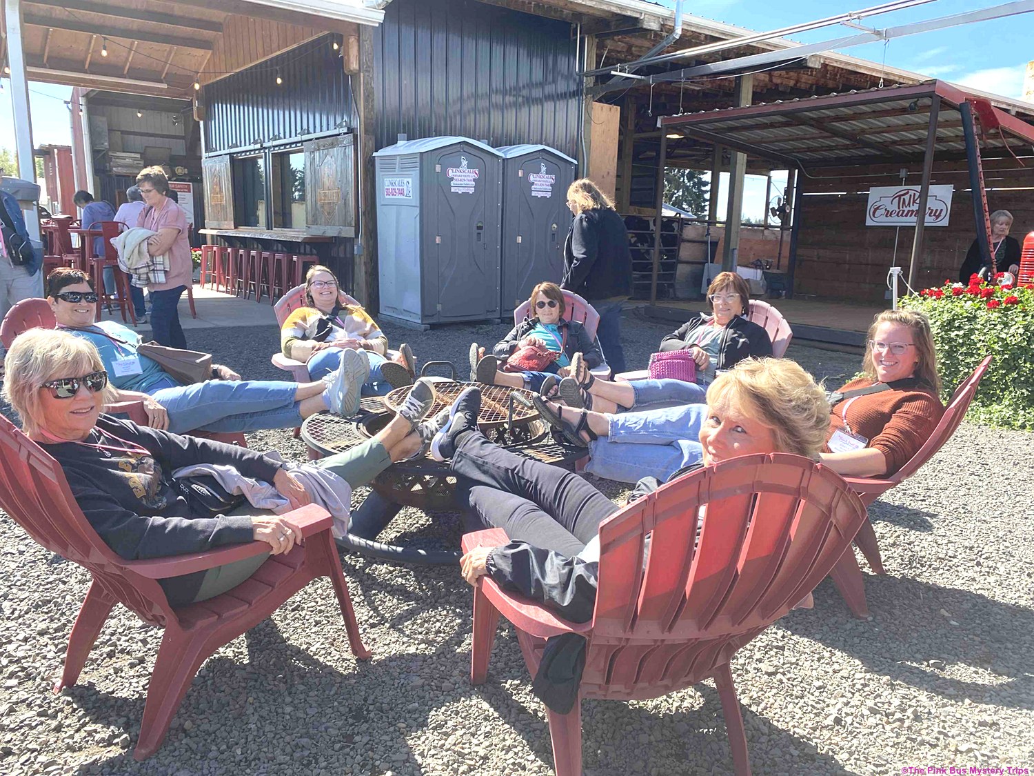 Travel Fun with The Pink Bus Mystery Trips