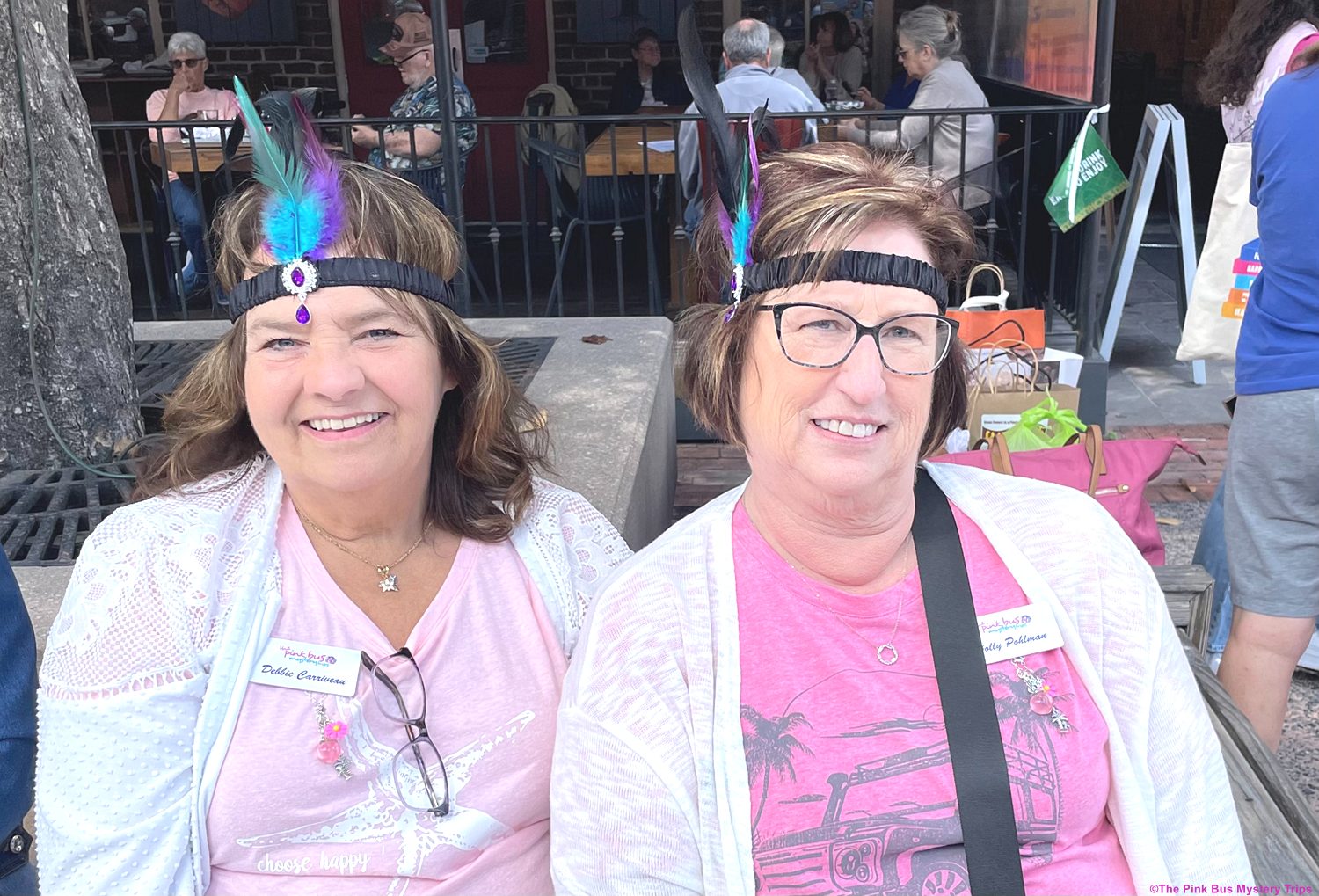 Travel Fun with The Pink Bus Mystery Trips