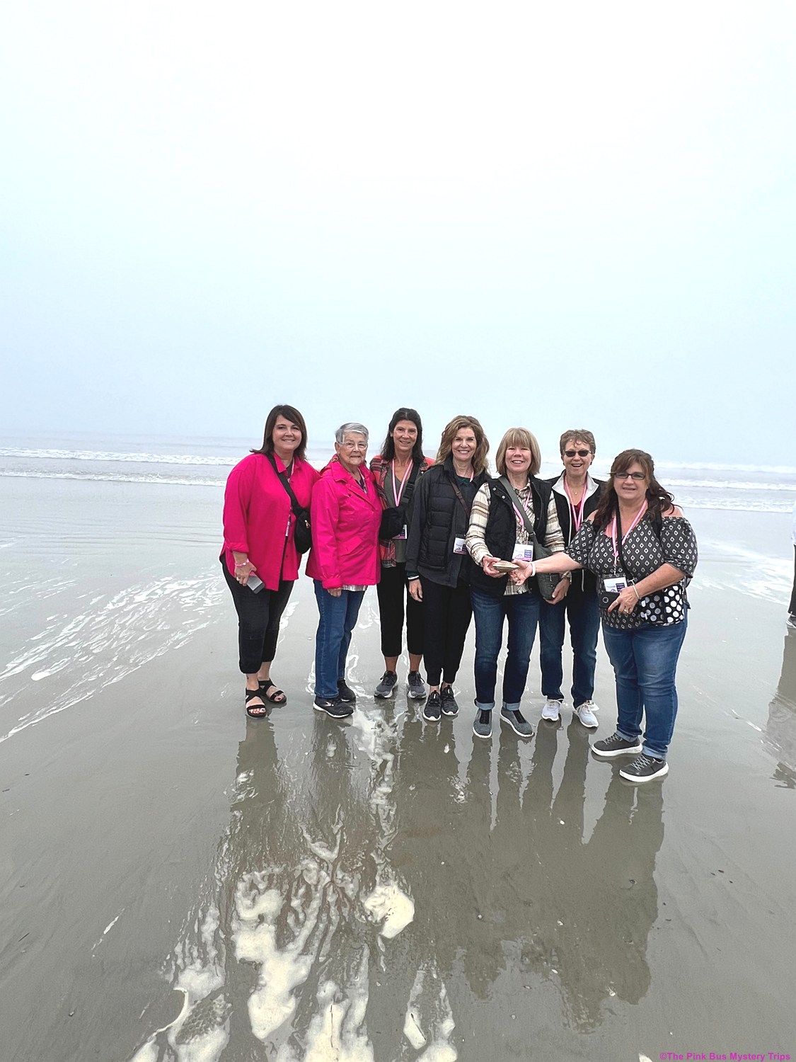 The Best in Travel Adventure with The Pink Bus Mystery Trips