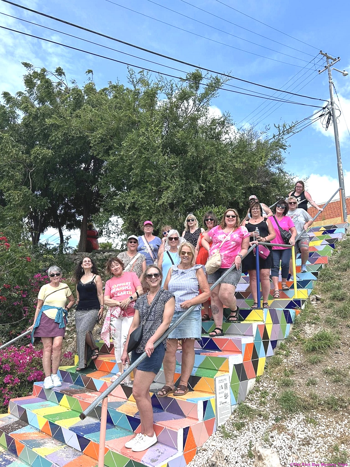 Find a great adventure with The Pink Bus Mystery Trips.
