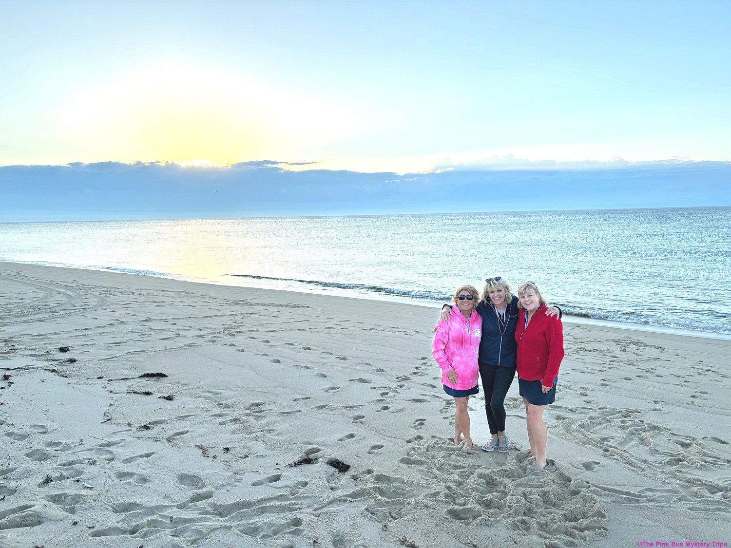 Find a great adventure with The Pink Bus Mystery Trips.