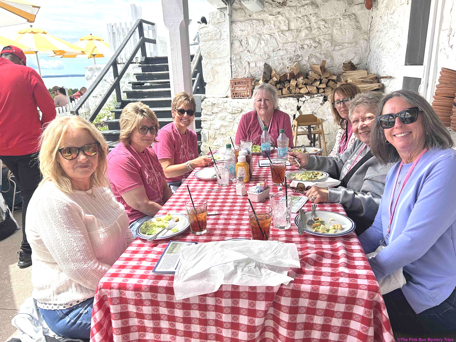 Find a great adventure with The Pink Bus Mystery Trips.