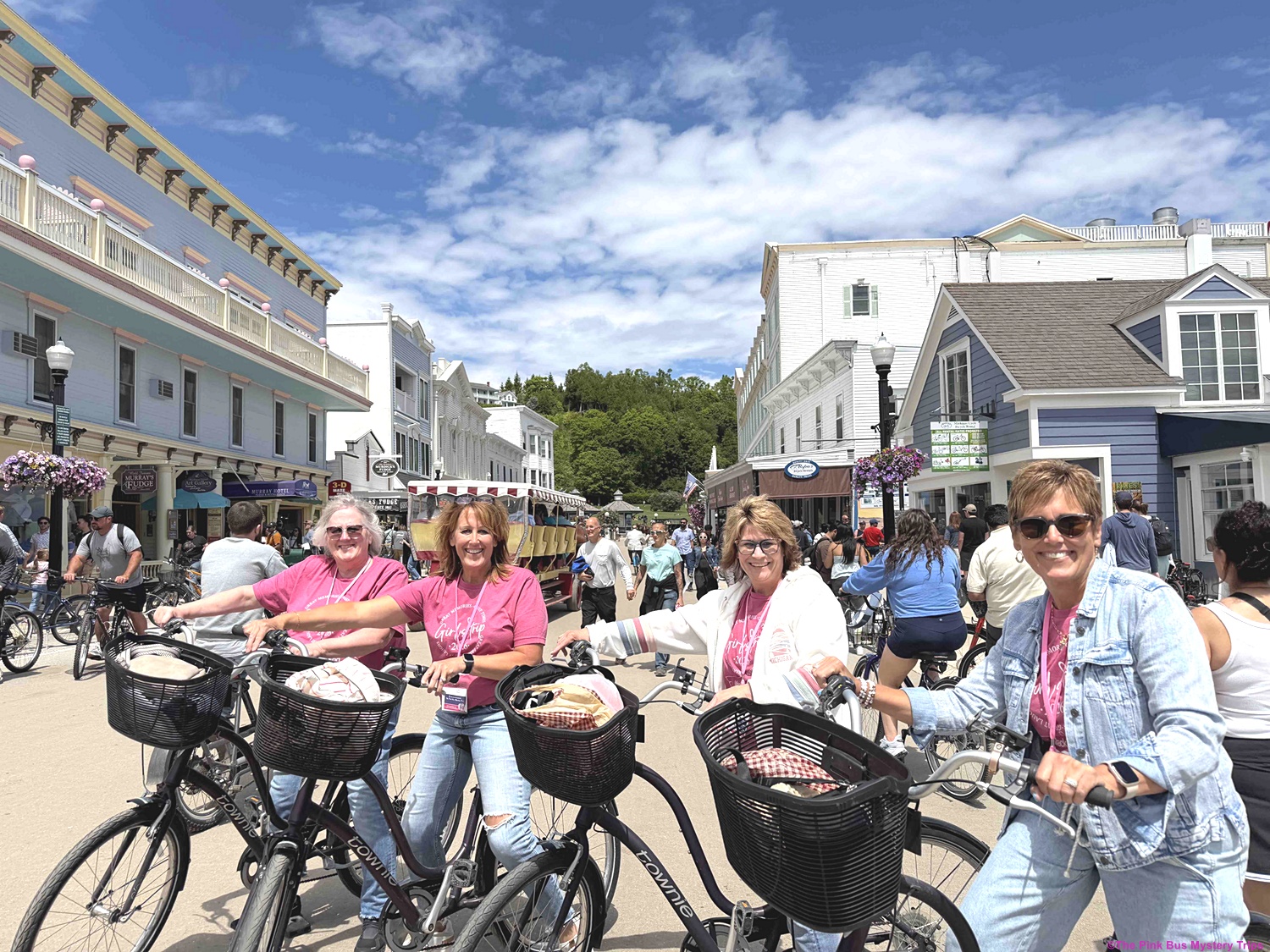 Find a great adventure with The Pink Bus Mystery Trips.