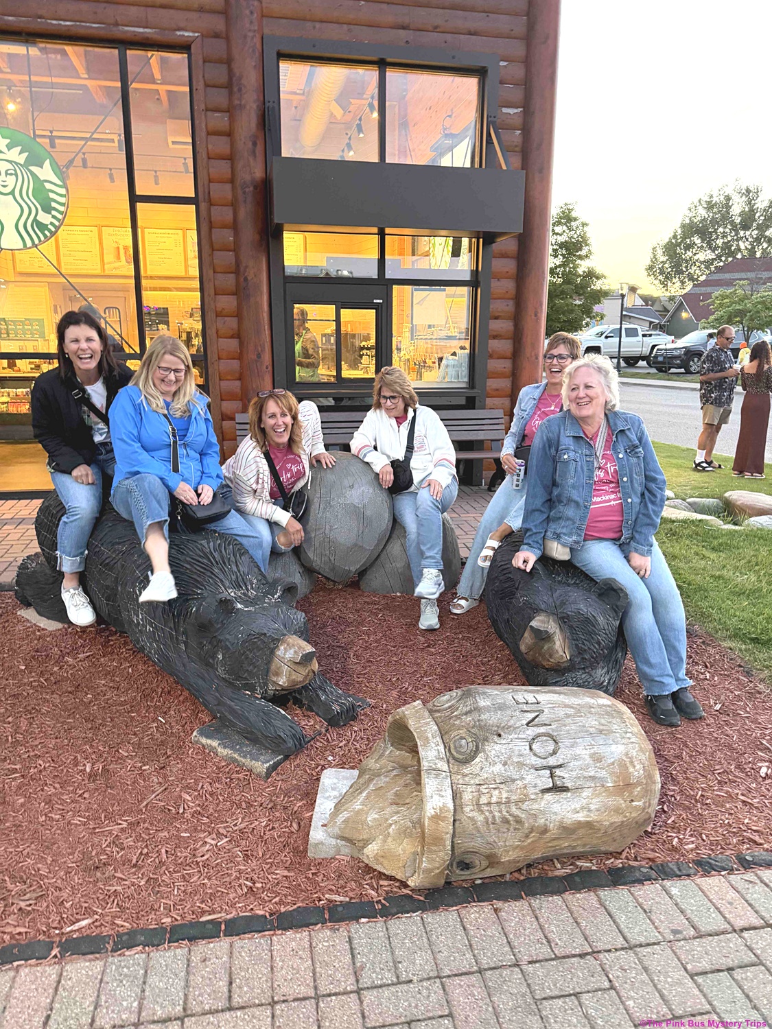 Find a great adventure with The Pink Bus Mystery Trips.
