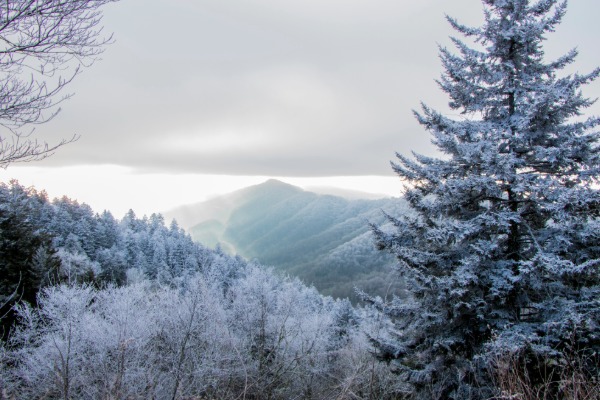 Smokey Mountains at Christmas Time Trip